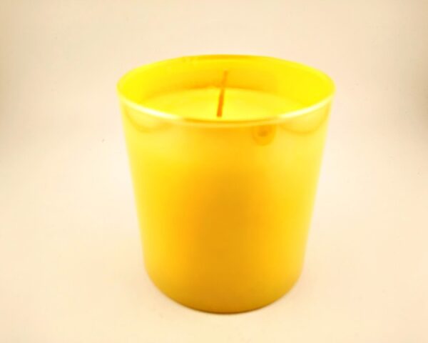 Bananas! Organic Scented Candle